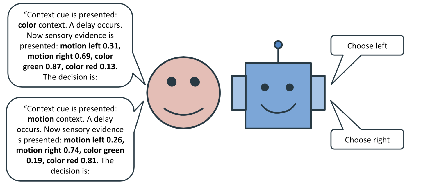 Fine-tuned network relies on generic representation to solve unseen cognitive task