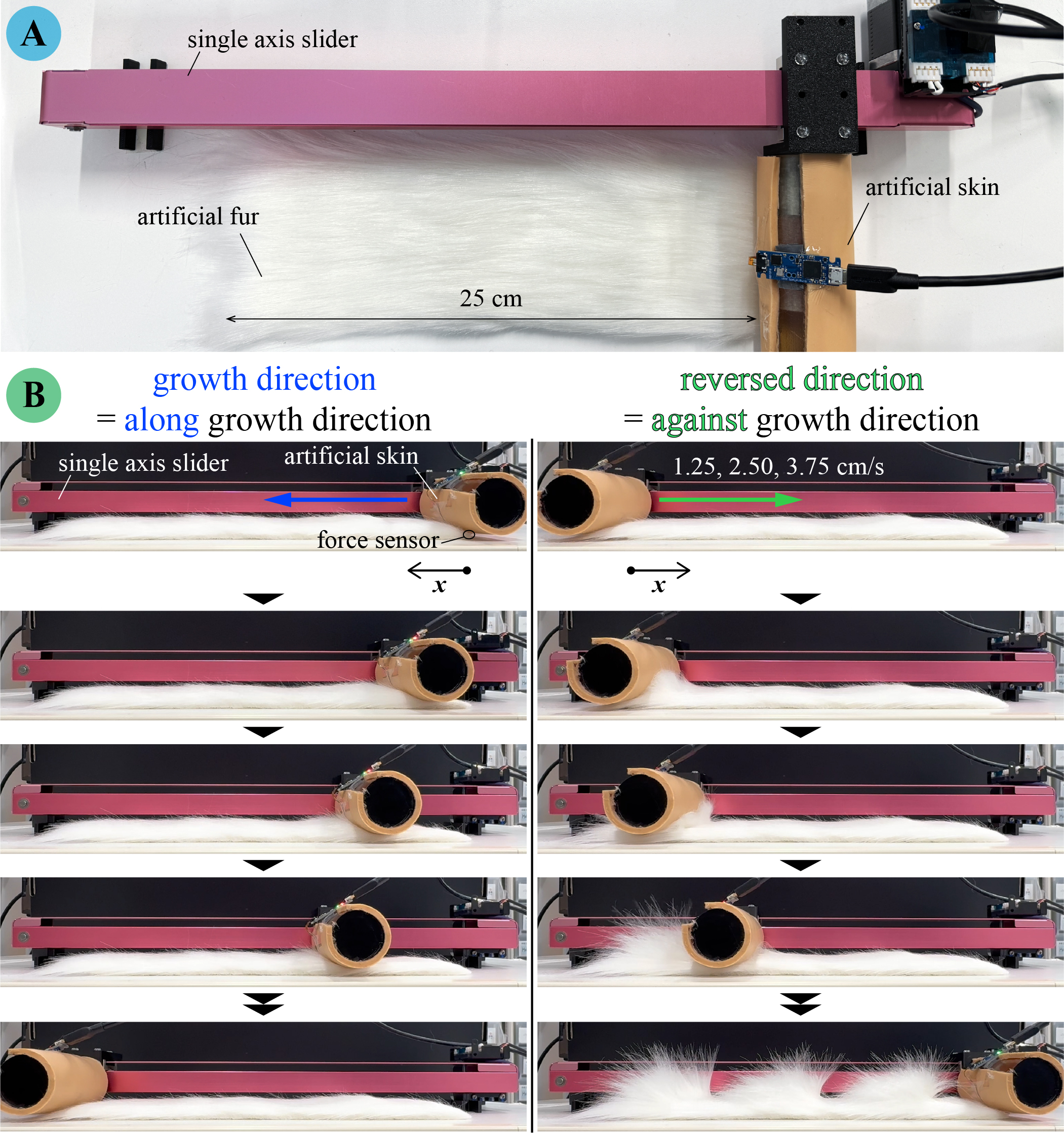 Voluminous Fur Stroking Experience through Interactive Visuo-Haptic Model in Virtual Reality