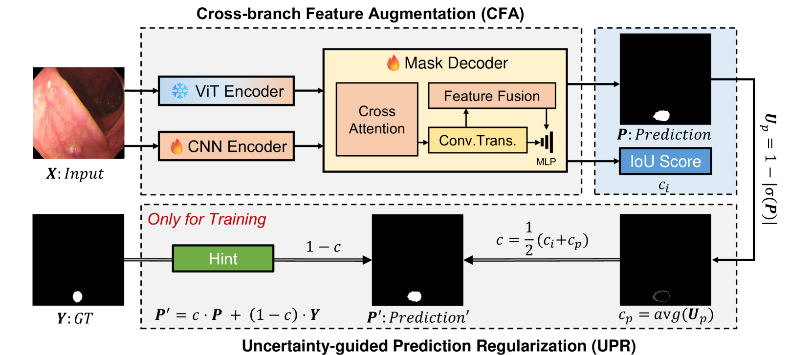 ASPS: Augmented Segment Anything Model for Polyp Segmentation