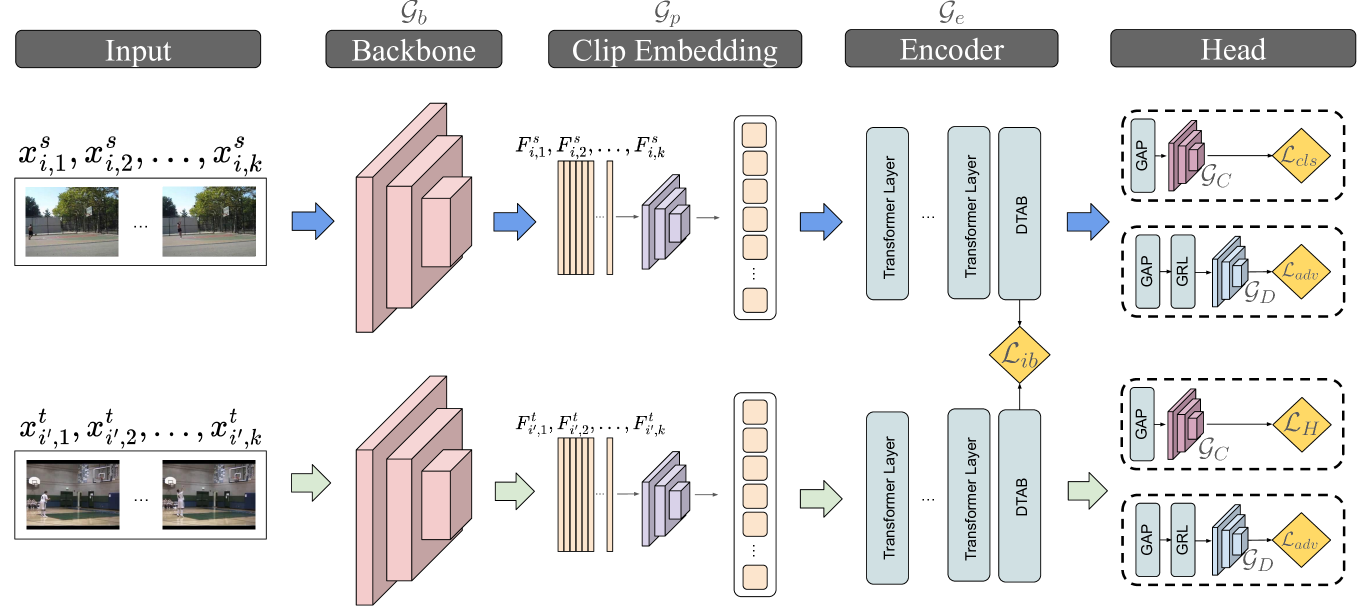 TransferAttn: Transferable-guided Attention Is All You Need for Video Domain Adaptation