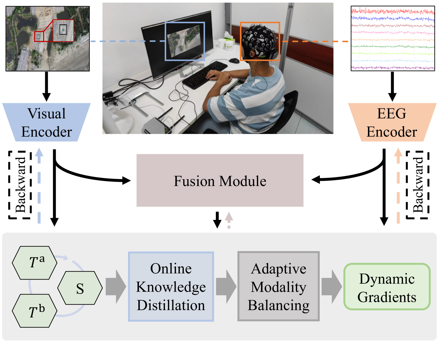 Adaptive Modality Balanced Online Knowledge Distillation for Brain-Eye-Computer based Dim Object Detection