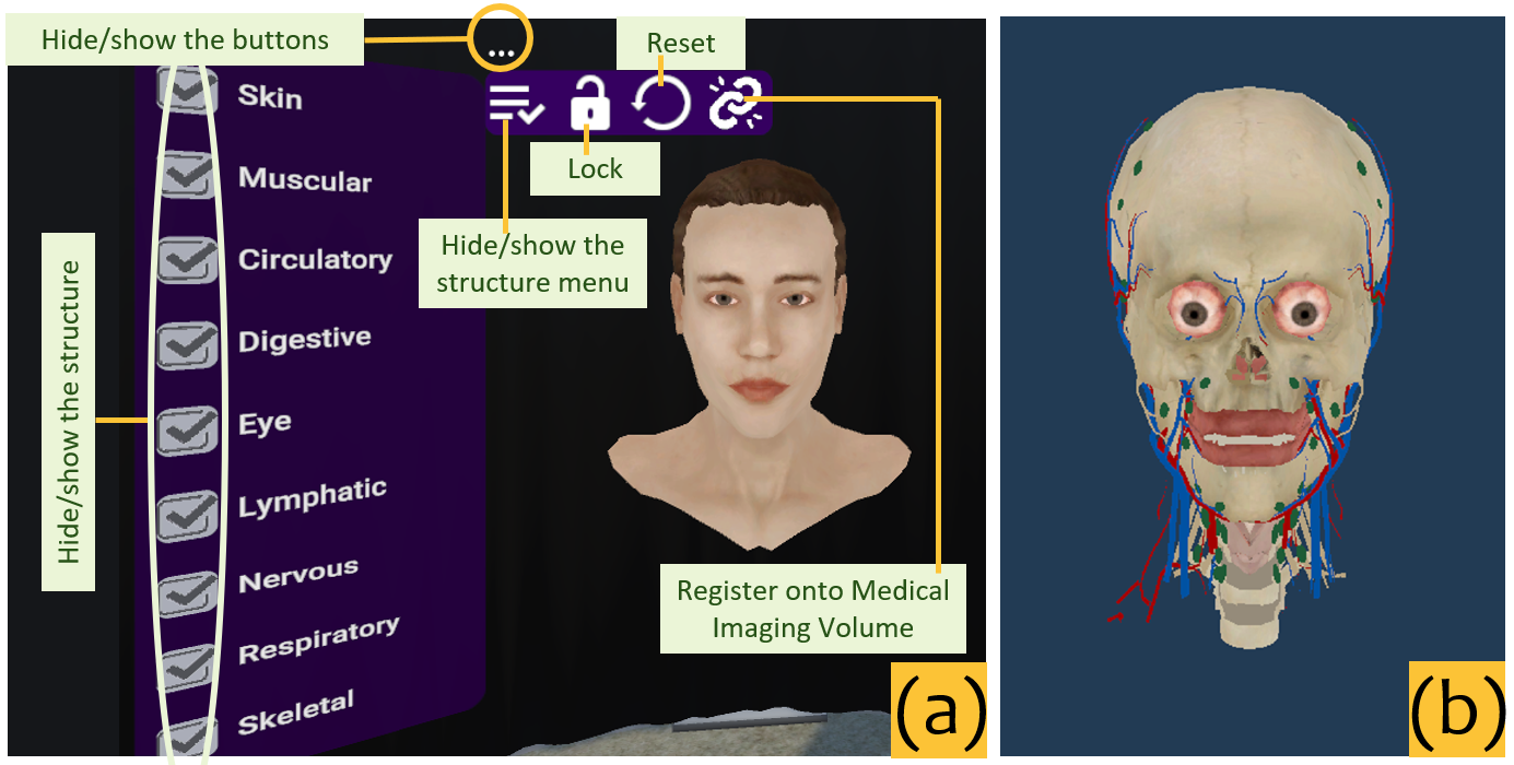 AcuVR: Enhancing Acupuncture Training Workflow with Virtual Reality