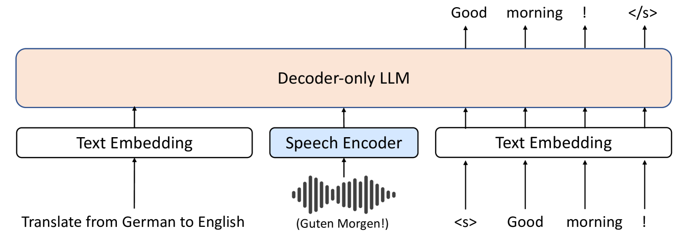 Investigating Decoder-only Large Language Models for Speech-to-text Translation