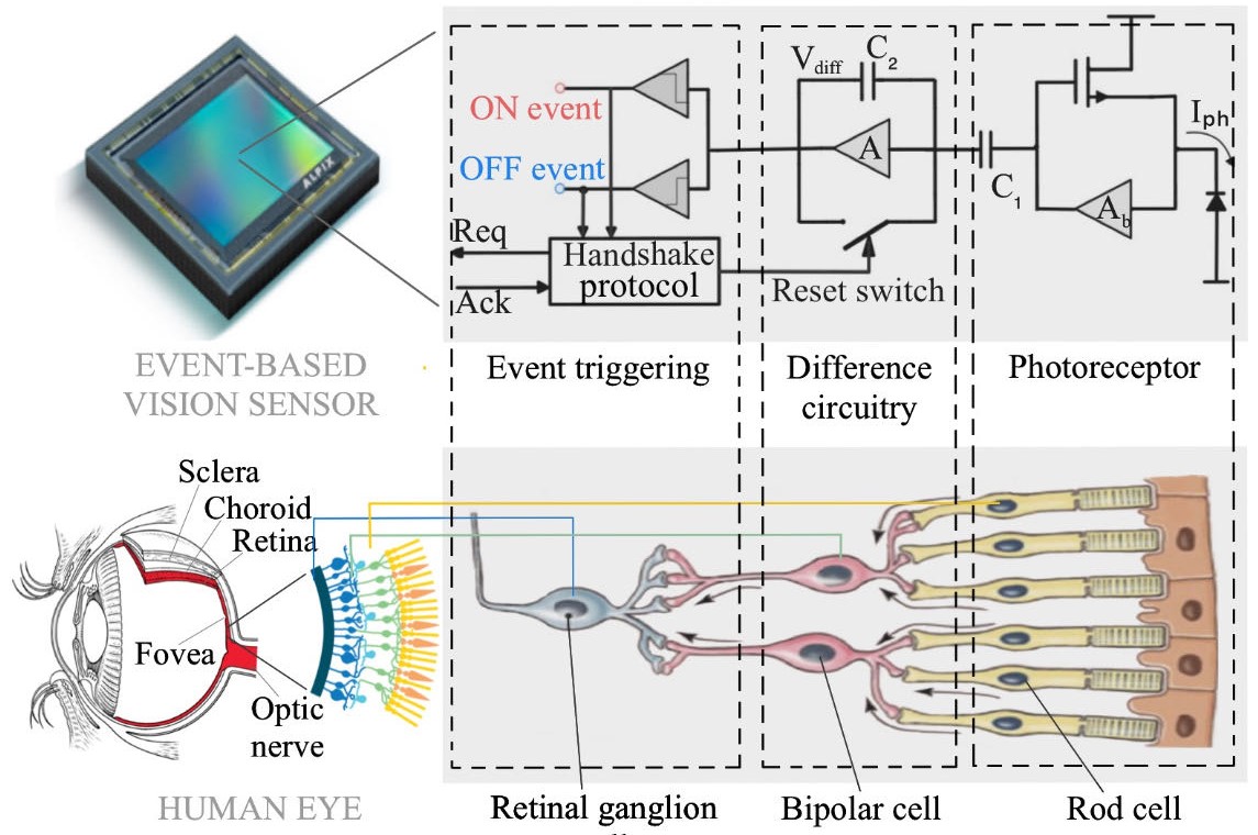 Research, Applications and Prospects of Event-Based Pedestrian Detection: A Survey