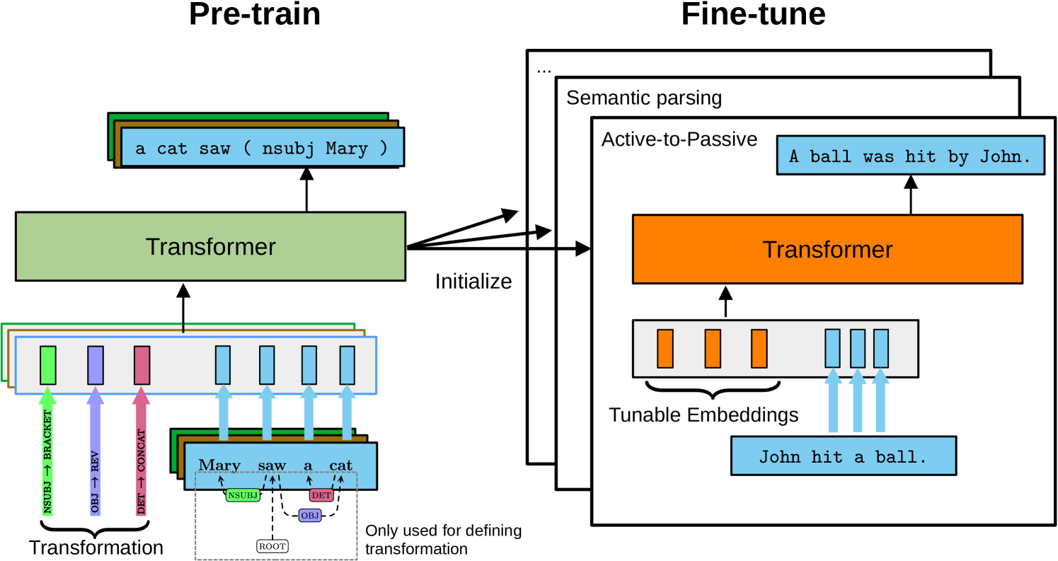 Strengthening Structural Inductive Biases by Pre-training to Perform Syntactic Transformations