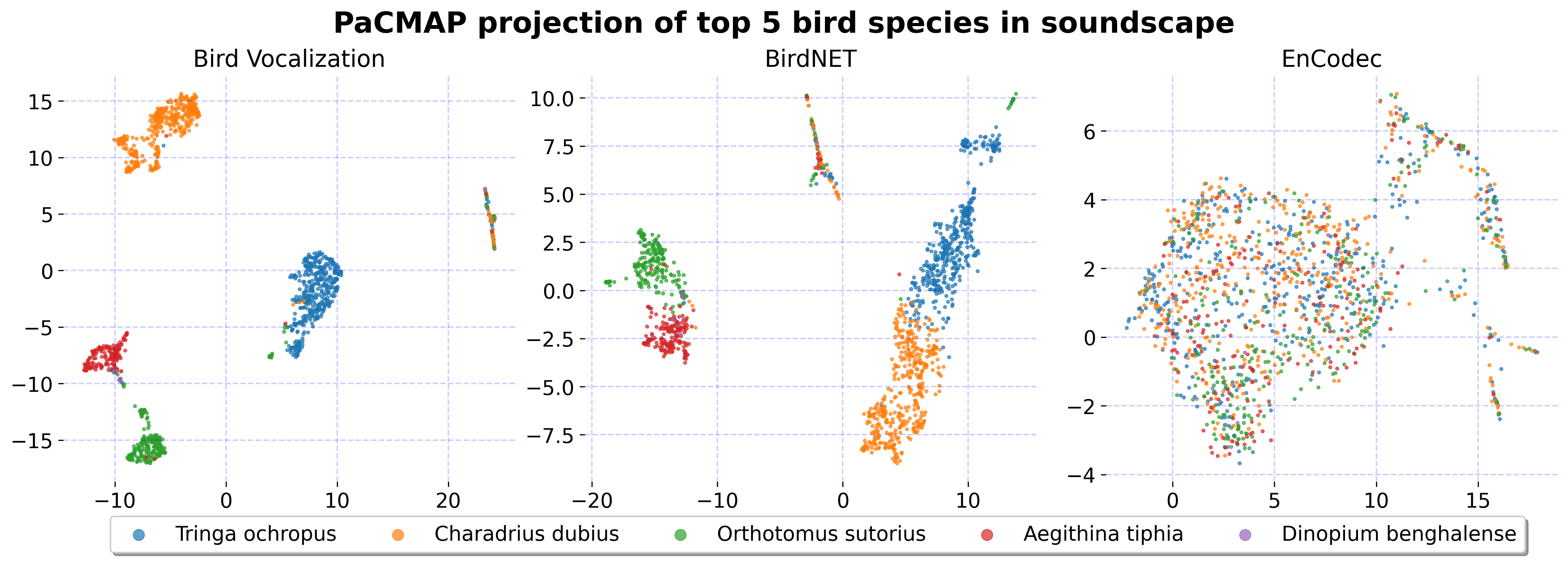 Transfer Learning with Pseudo Multi-Label Birdcall Classification for DS@GT BirdCLEF 2024