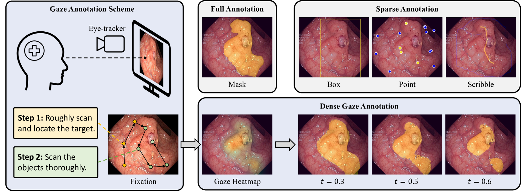 Weakly-supervised Medical Image Segmentation with Gaze Annotations