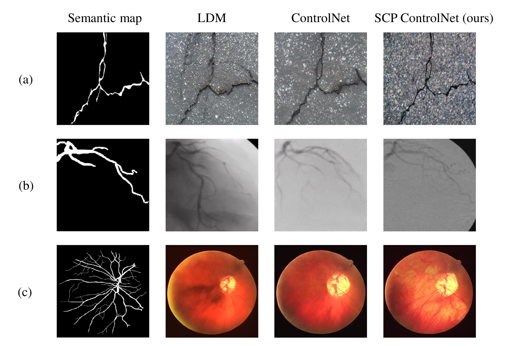 Enriching Information and Preserving Semantic Consistency in Expanding Curvilinear Object Segmentation Datasets