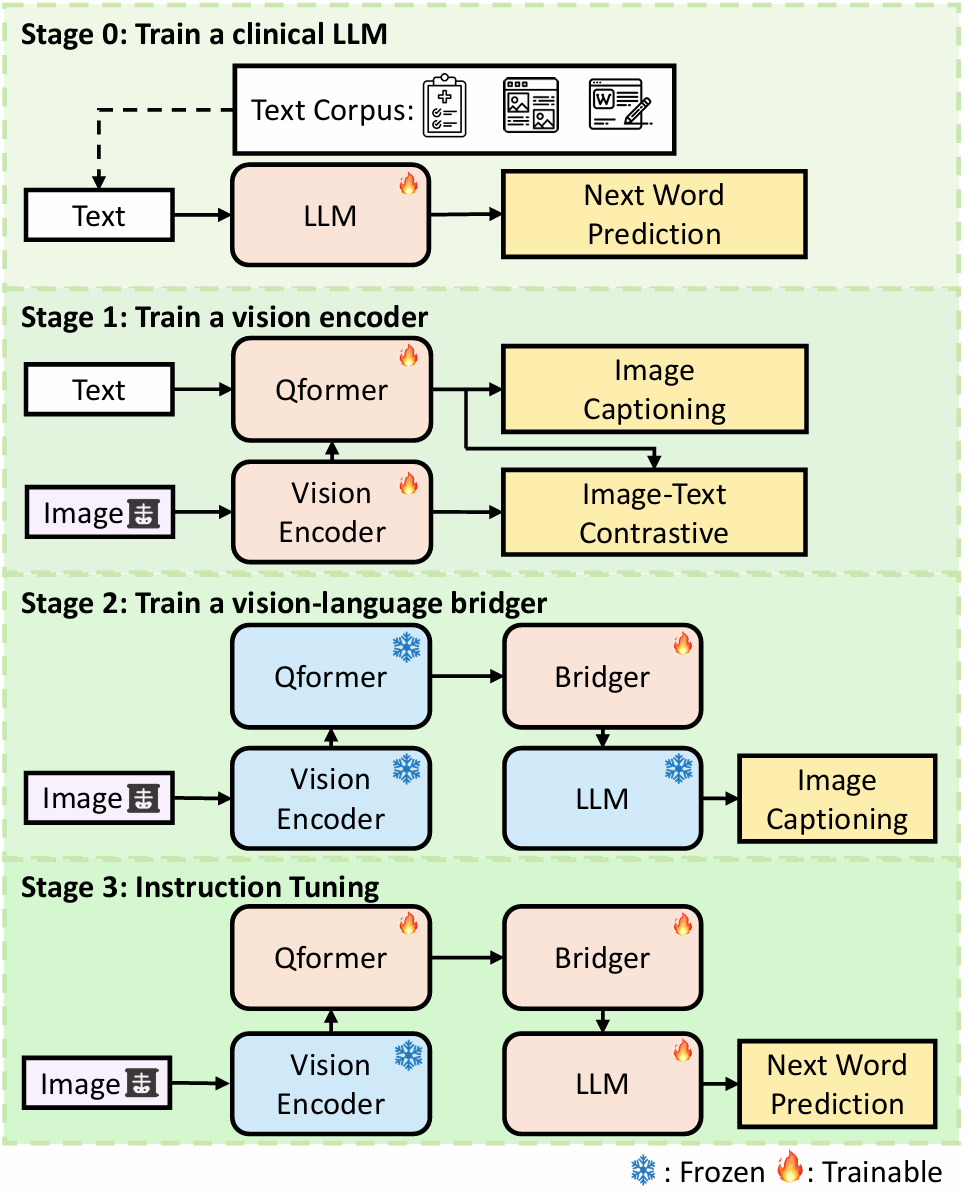 CXR-Agent: Vision-language models for chest X-ray interpretation with uncertainty aware radiology reporting