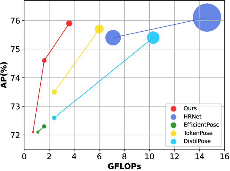 GTPT: Group-based Token Pruning Transformer for Efficient Human Pose Estimation