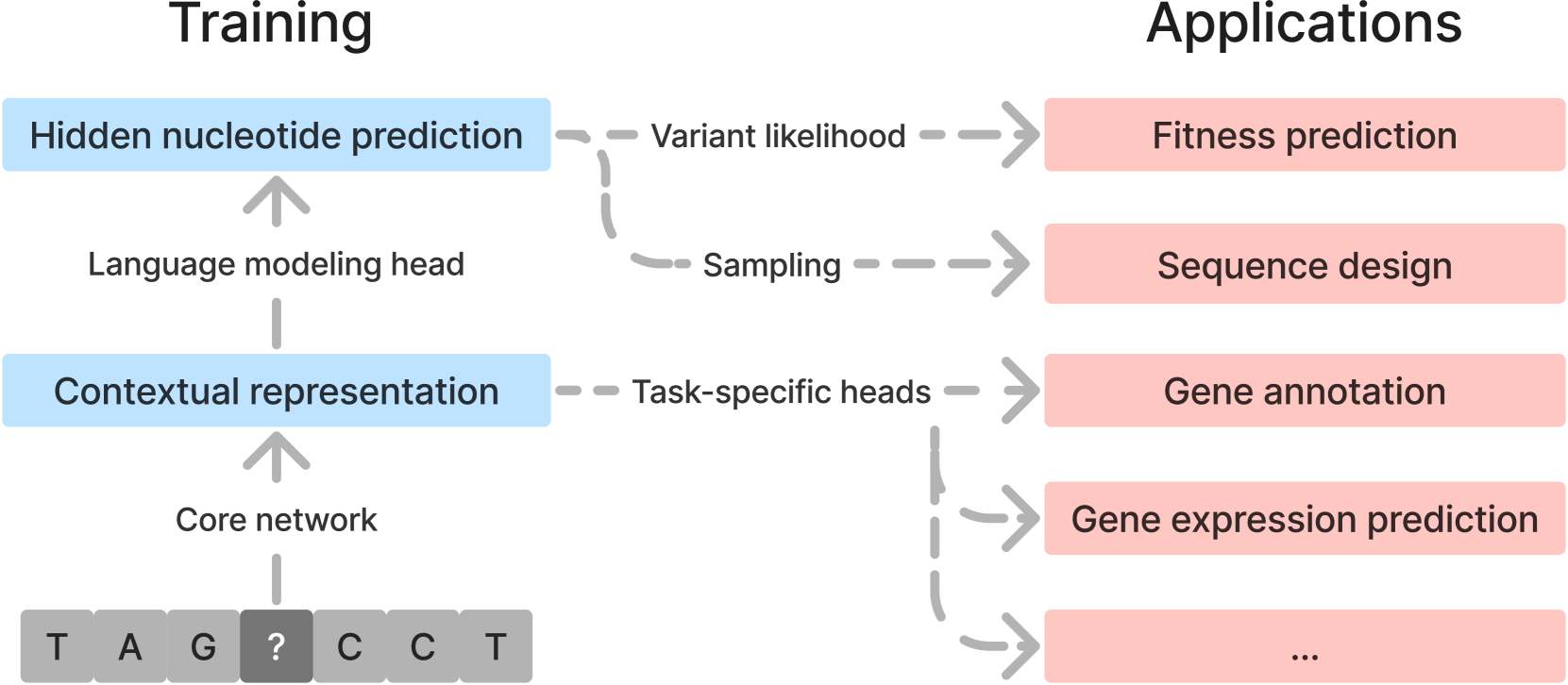 Genomic Language Models: Opportunities and Challenges