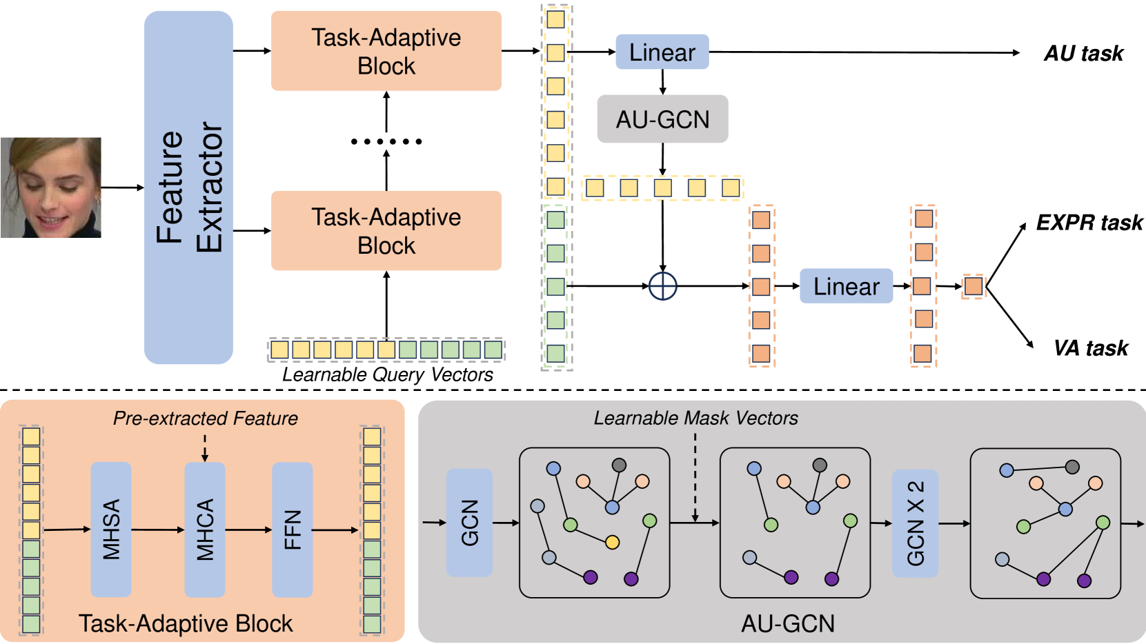 Affective Behavior Analysis using Task-adaptive and AU-assisted Graph Network