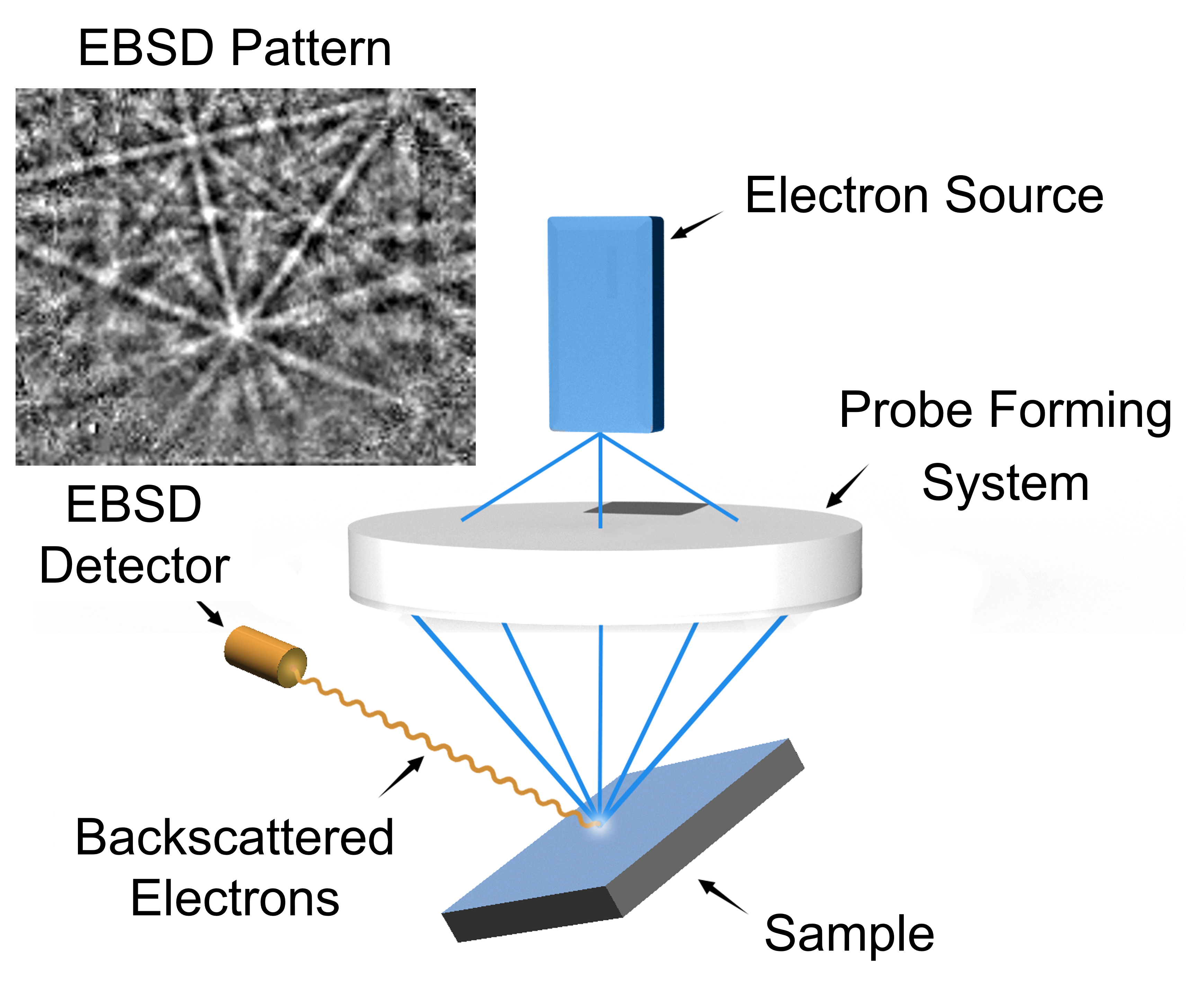 Compressive Electron Backscatter Diffraction Imaging