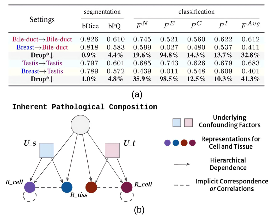 Revisiting Adaptive Cellular Recognition Under Domain Shifts: A Contextual Correspondence View