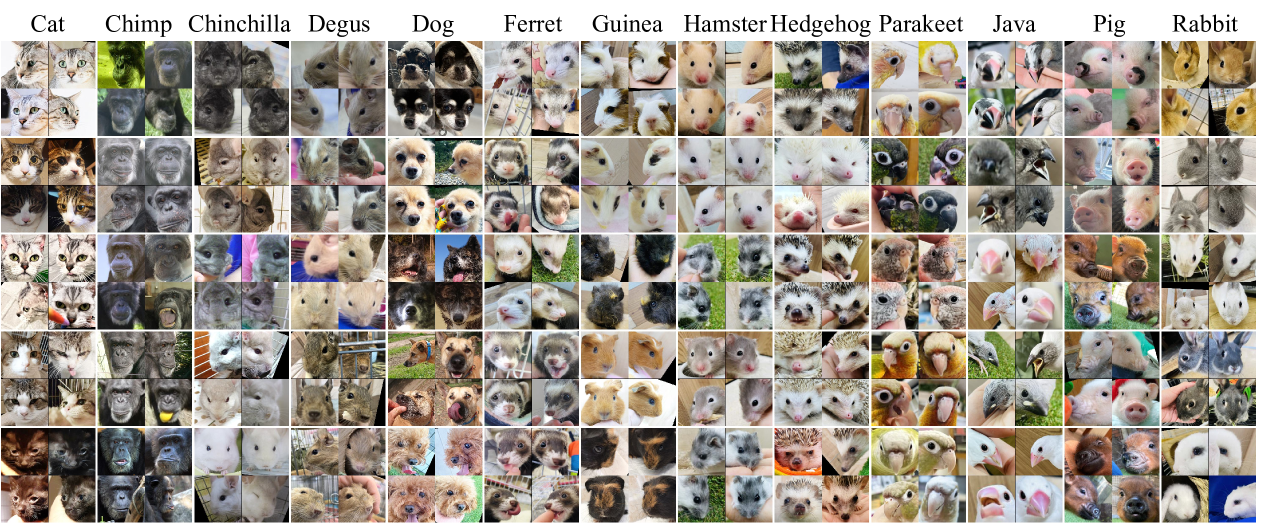 PetFace: A Large-Scale Dataset and Benchmark for Animal Identification