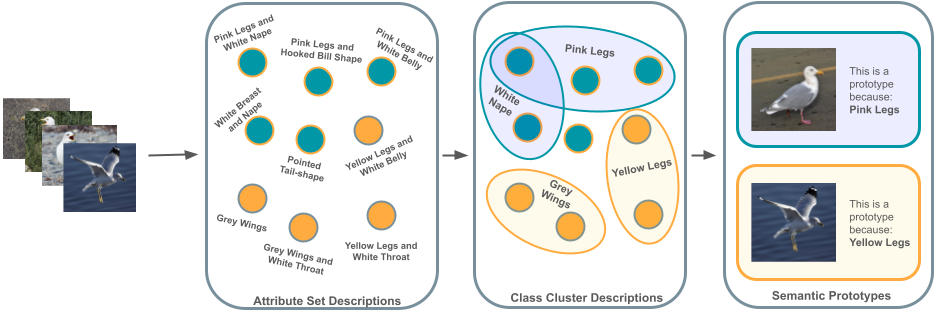 Semantic Prototypes: Enhancing Transparency Without Black Boxes