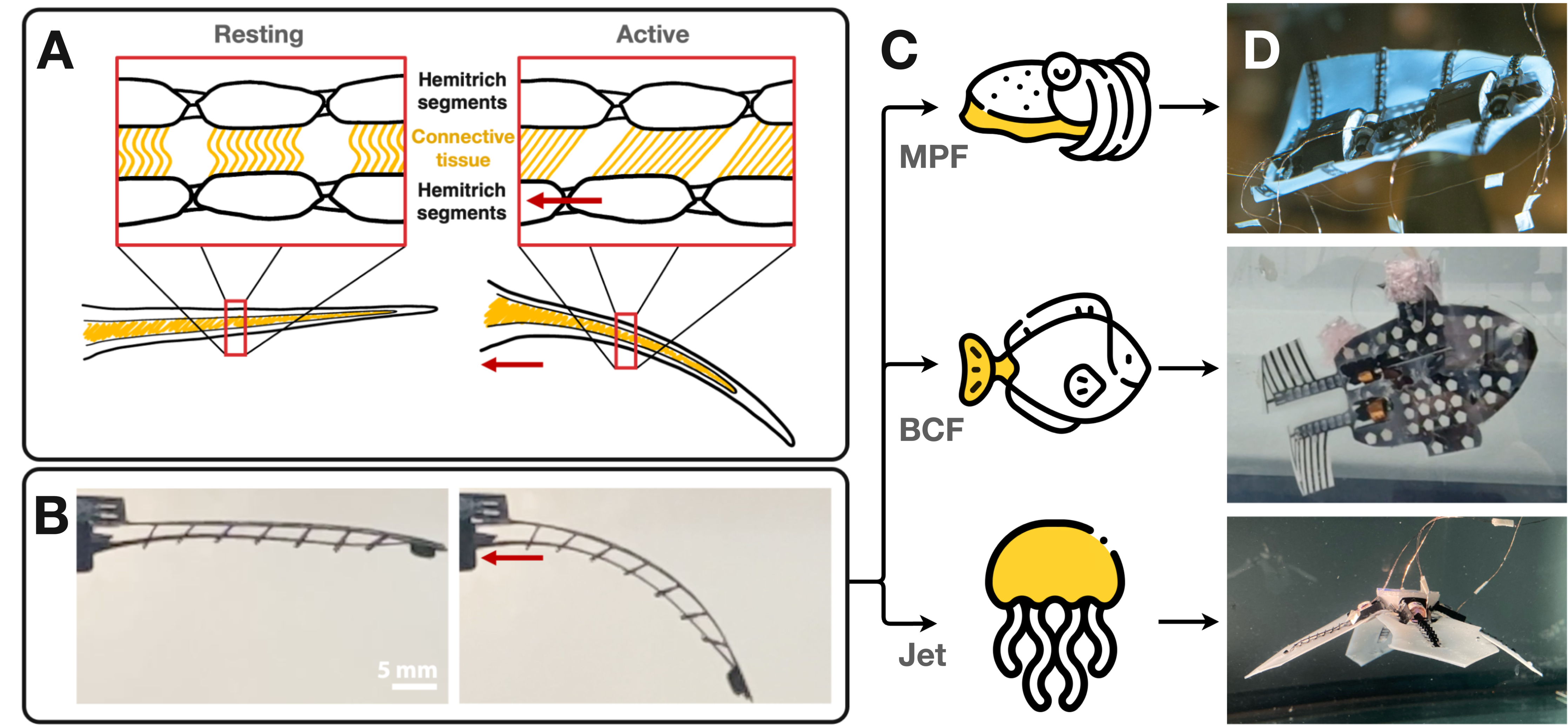 Fin ray-inspired, Origami, Small Scale Actuator for Fin Manipulation in Aquatic Bioinspired Robots