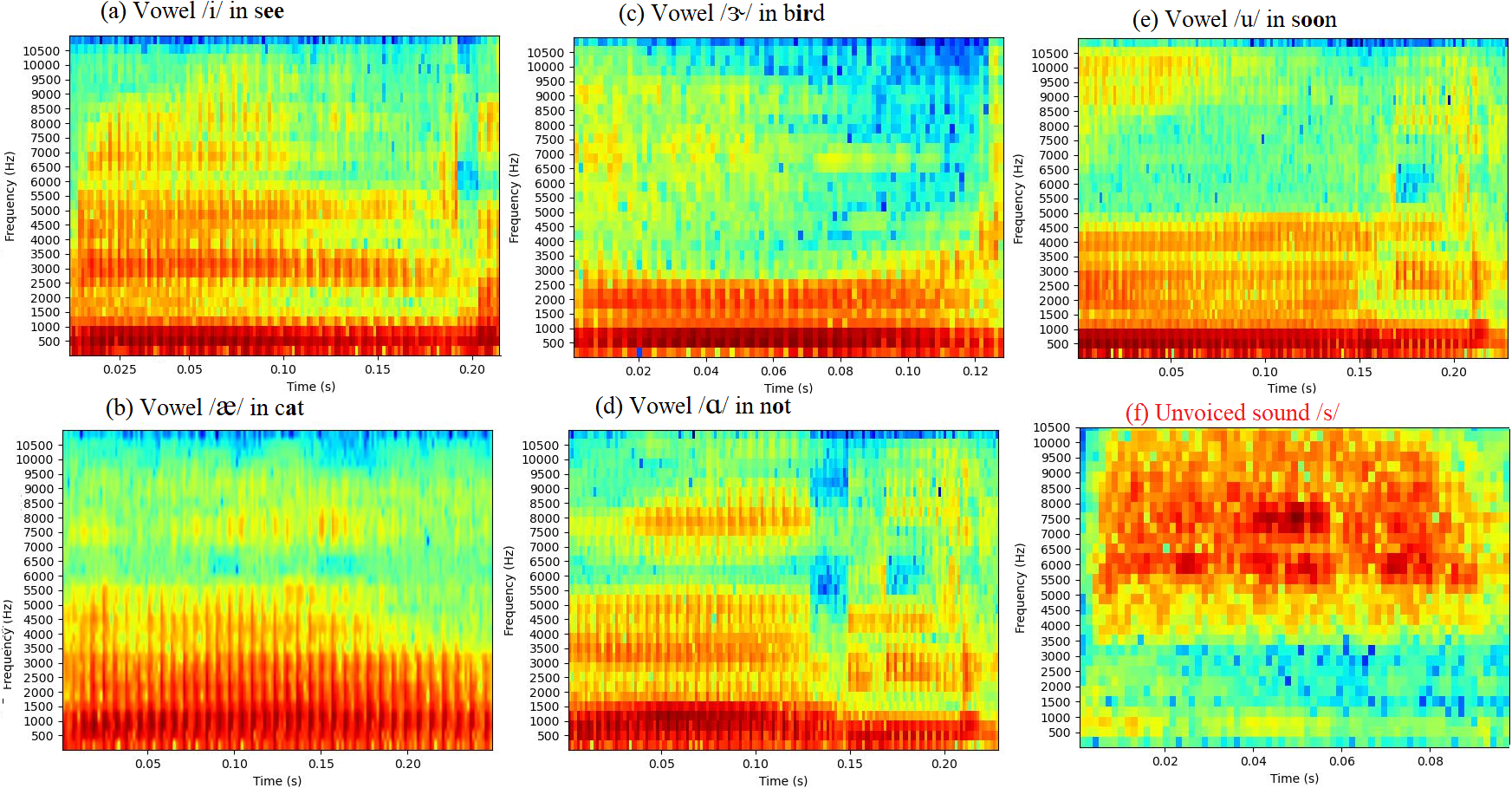 Explaining Spectrograms in Machine Learning: A Study on Neural Networks for Speech Classification