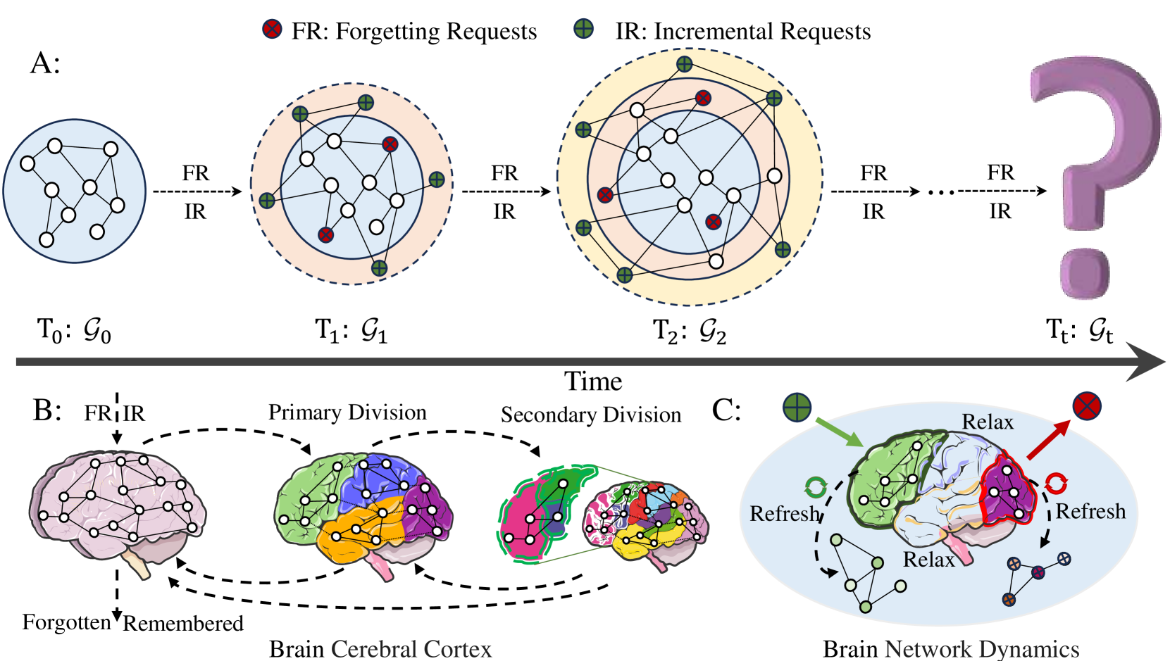 Graph Memory Learning: Imitating Lifelong Remembering and Forgetting of Brain Networks