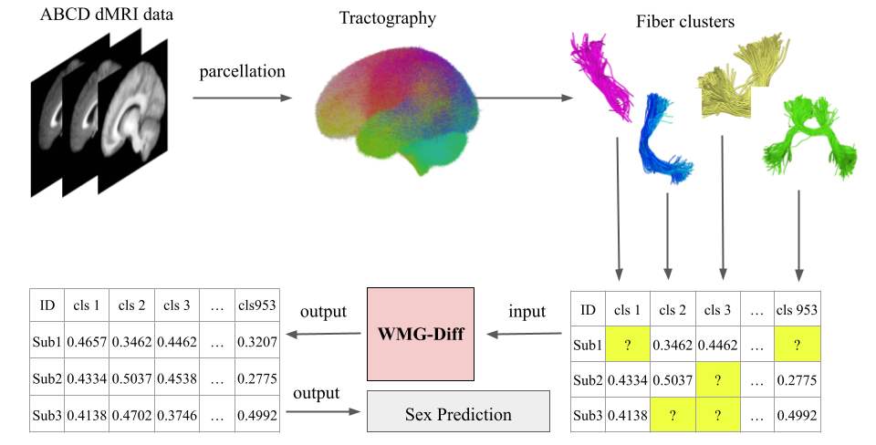 White Matter Geometry-Guided Score-Based Diffusion Model for Tissue Microstructure Imputation in Tractography Imaging