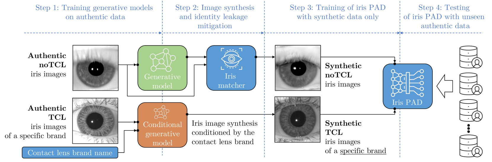 Privacy-Safe Iris Presentation Attack Detection