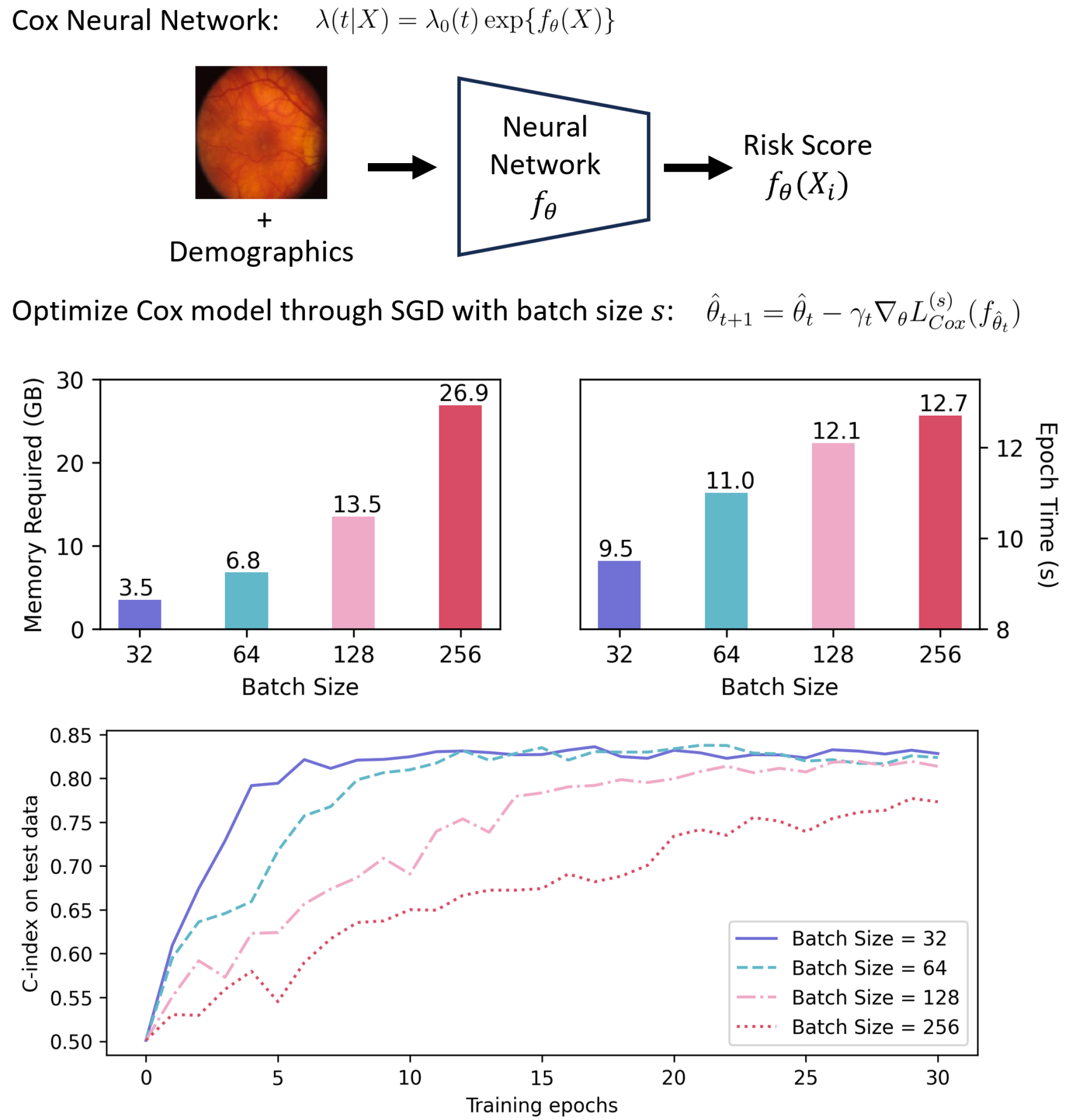 Optimizing Cox Models with Stochastic Gradient Descent: Theoretical Foundations and Practical Guidances