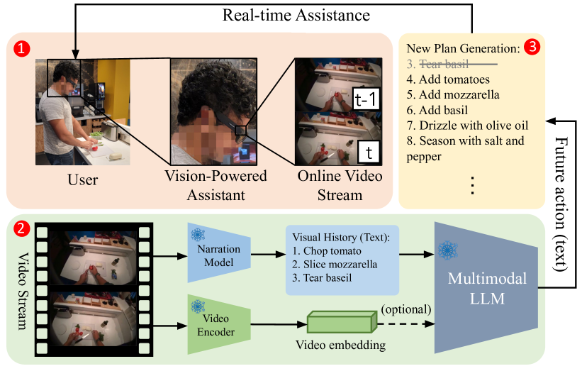 User-in-the-loop Evaluation of Multimodal LLMs for Activity Assistance