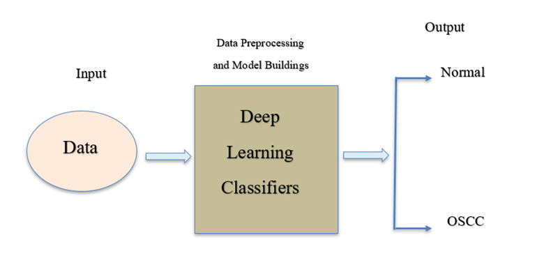 Oral squamous cell detection using deep learning