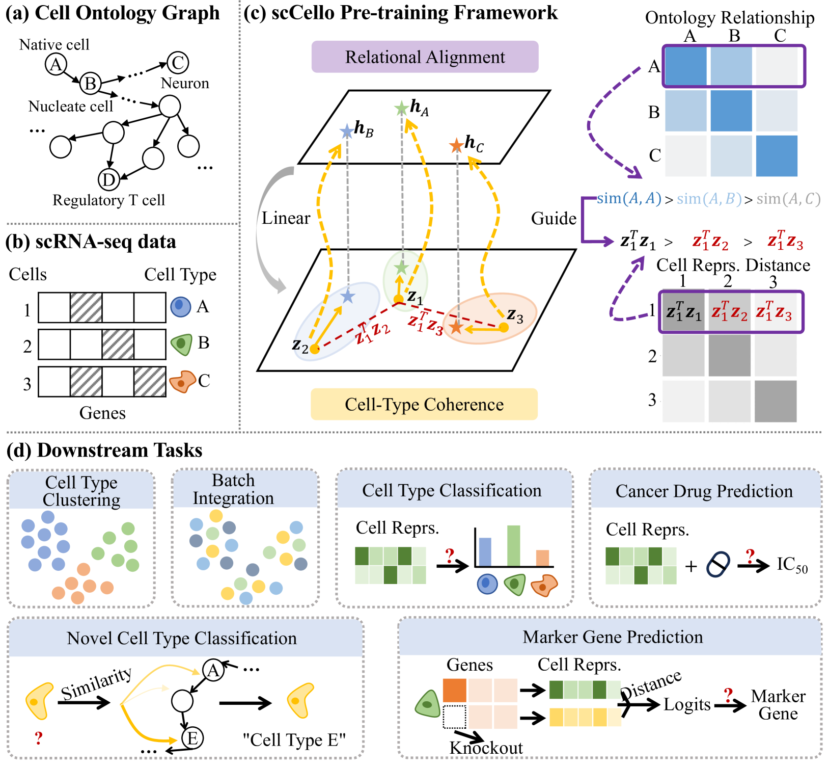 Cell-ontology guided transcriptome foundation model