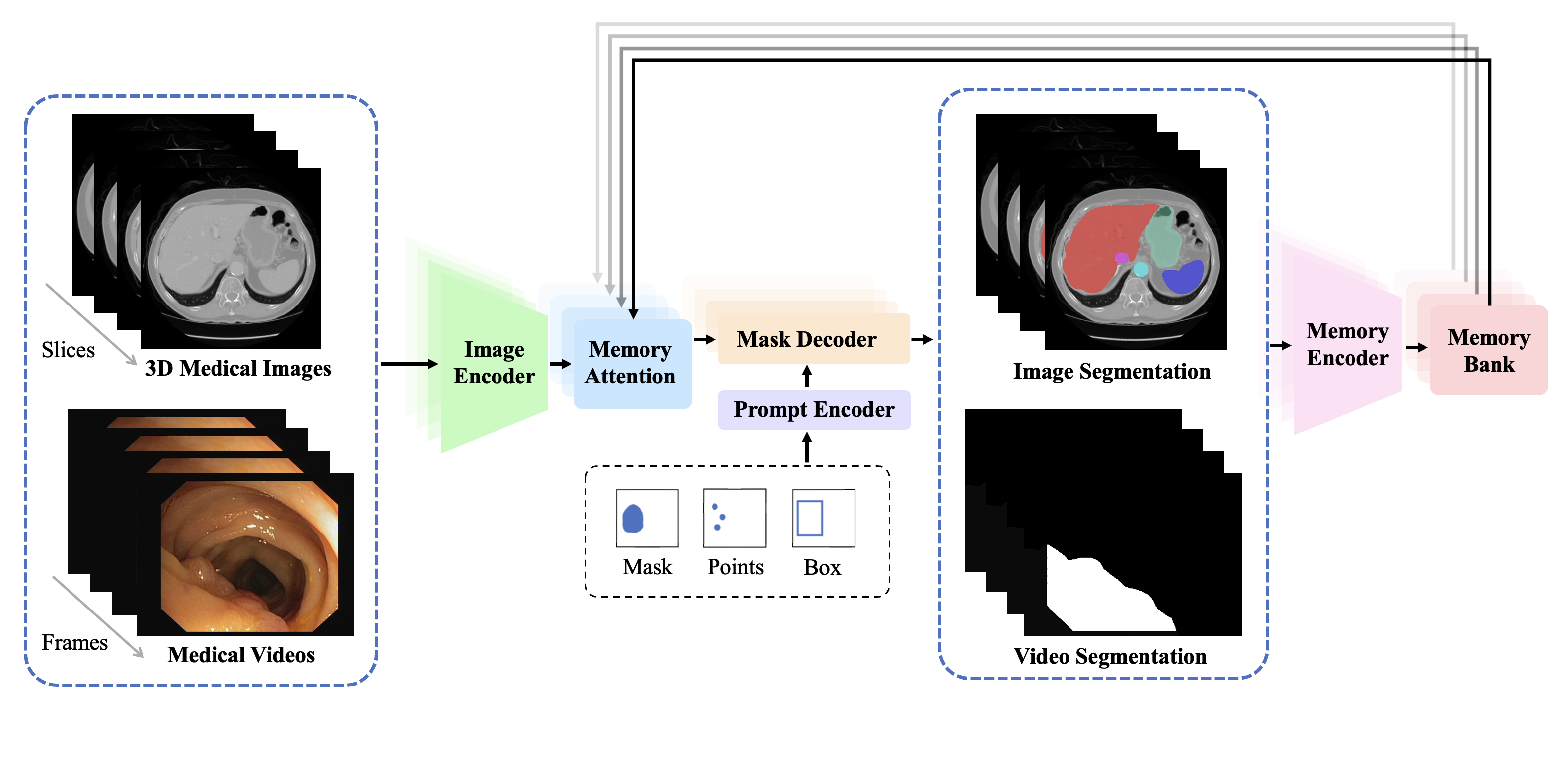 Unleashing the Potential of SAM2 for Biomedical Images and Videos: A Survey