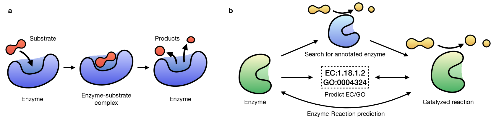 Reactzyme: A Benchmark for Enzyme-Reaction Prediction