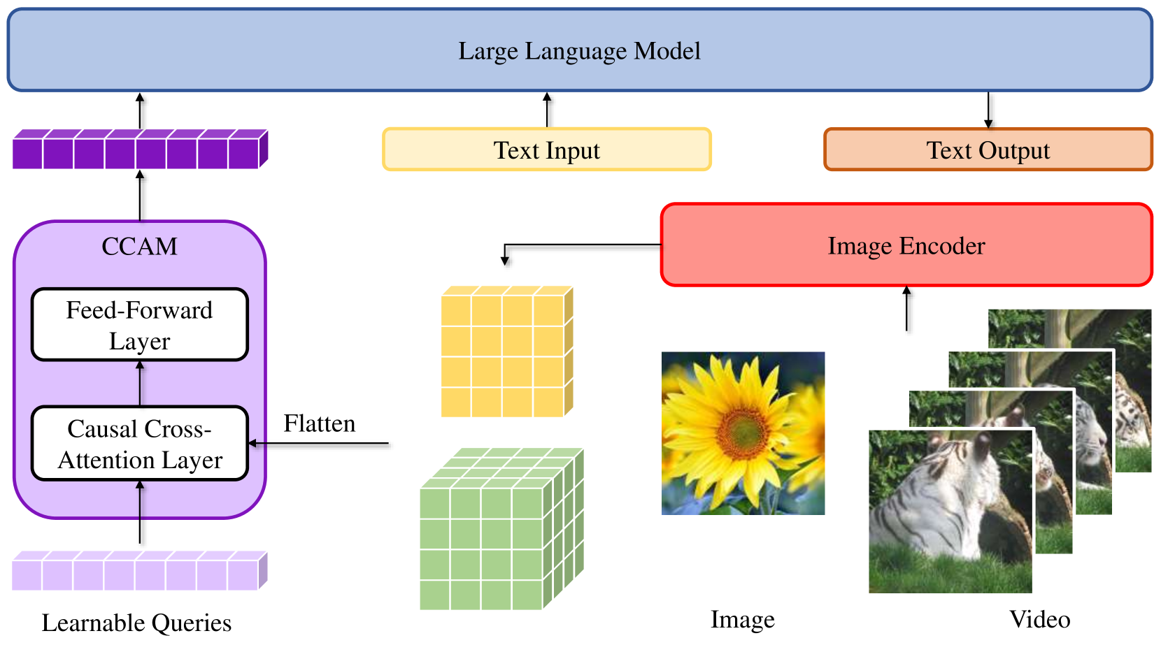 Video-CCAM: Enhancing Video-Language Understanding with Causal Cross-Attention Masks for Short and Long Videos