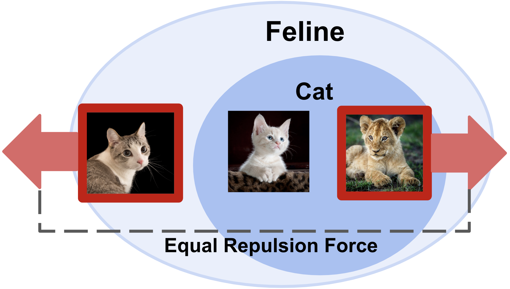 SelEx: Self-Expertise in Fine-Grained Generalized Category Discovery