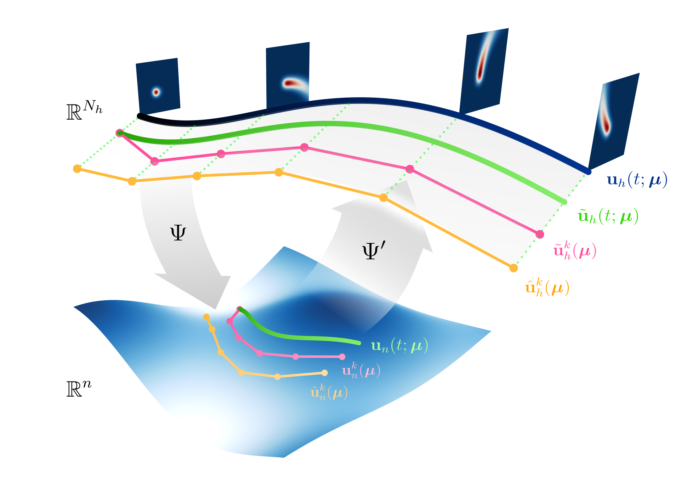 On latent dynamics learning in nonlinear reduced order modeling