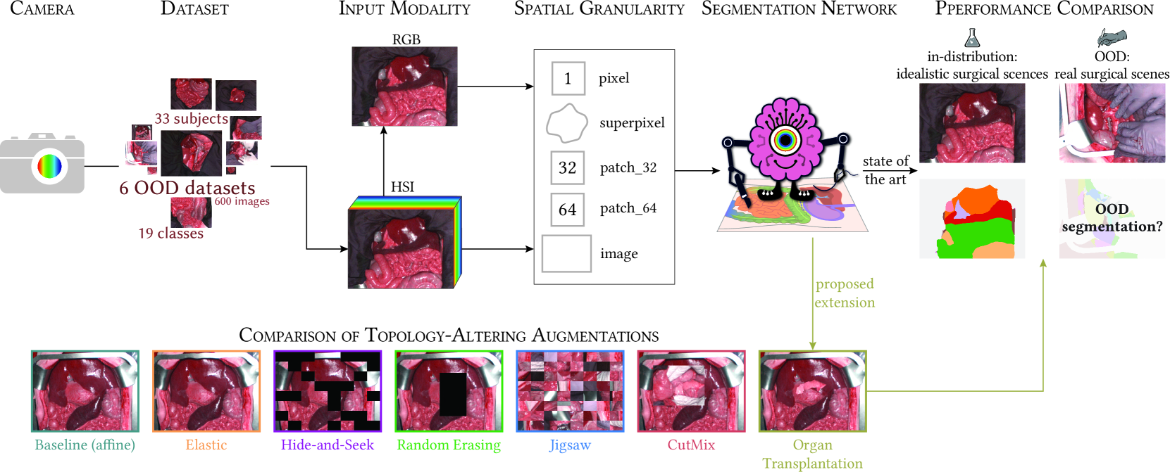 Handling Geometric Domain Shifts in Semantic Segmentation of Surgical RGB and Hyperspectral Images