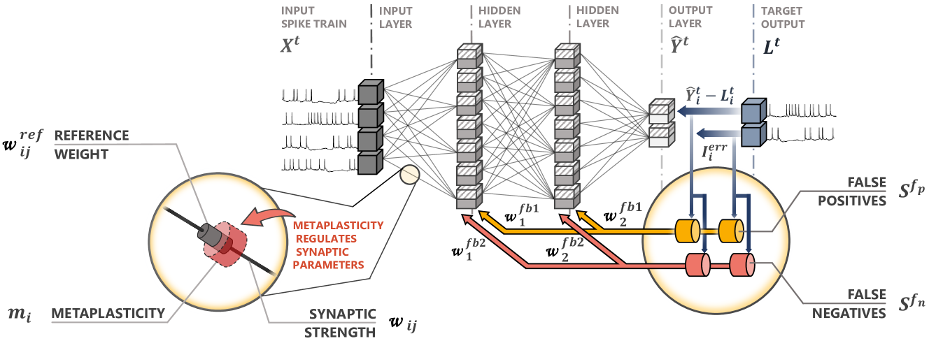 TACOS: Task Agnostic Continual Learning in Spiking Neural Networks