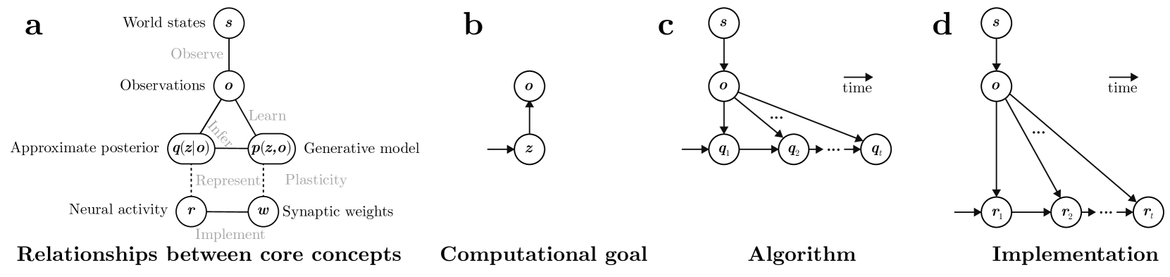 How does the brain compute with probabilities?