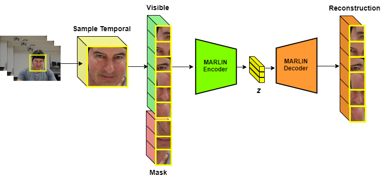 Transformer with Leveraged Masked Autoencoder for video-based Pain Assessment