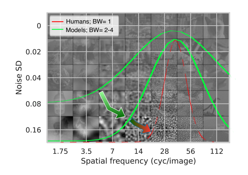 VFA: Vision Frequency Analysis of Foundation Models and Human