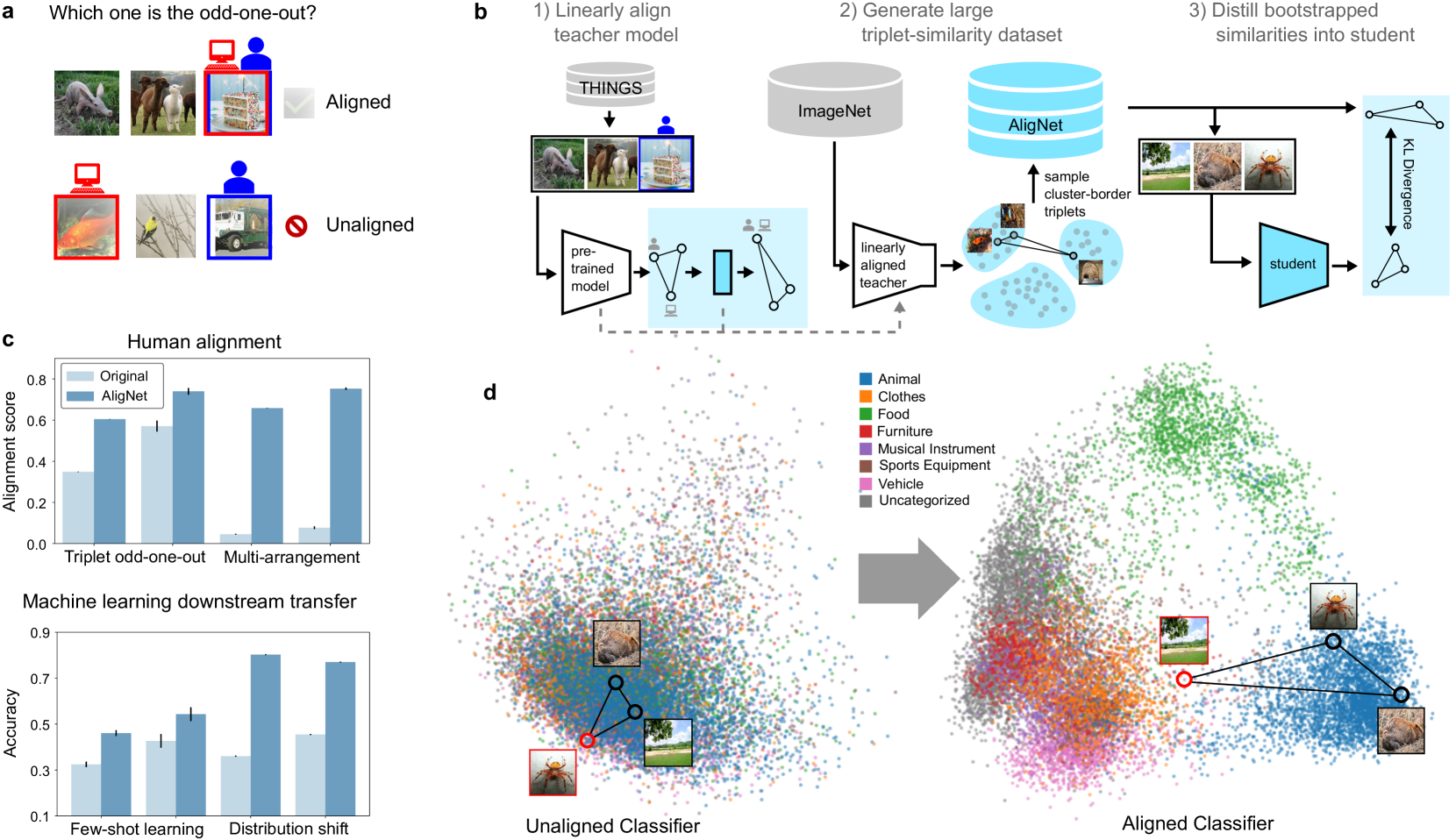 Aligning Machine and Human Visual Representations across Abstraction Levels