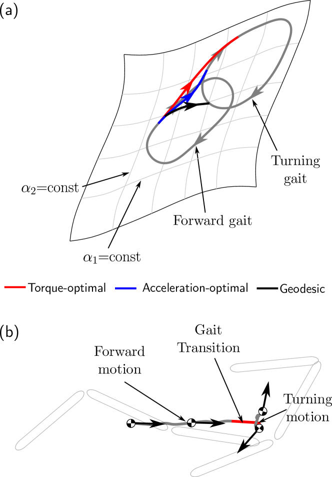 Optimal Control Approach for Gait Transition with Riemannian Splines ...