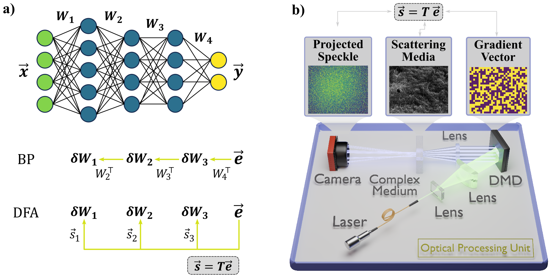 Optical training of large-scale Transformers and deep neural networks with direct feedback alignment