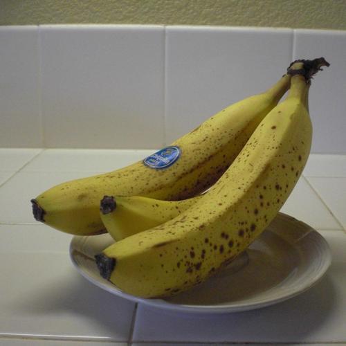 [Uncaptioned image]