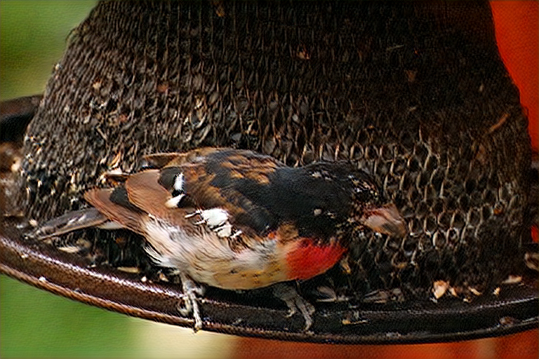 Refer to caption