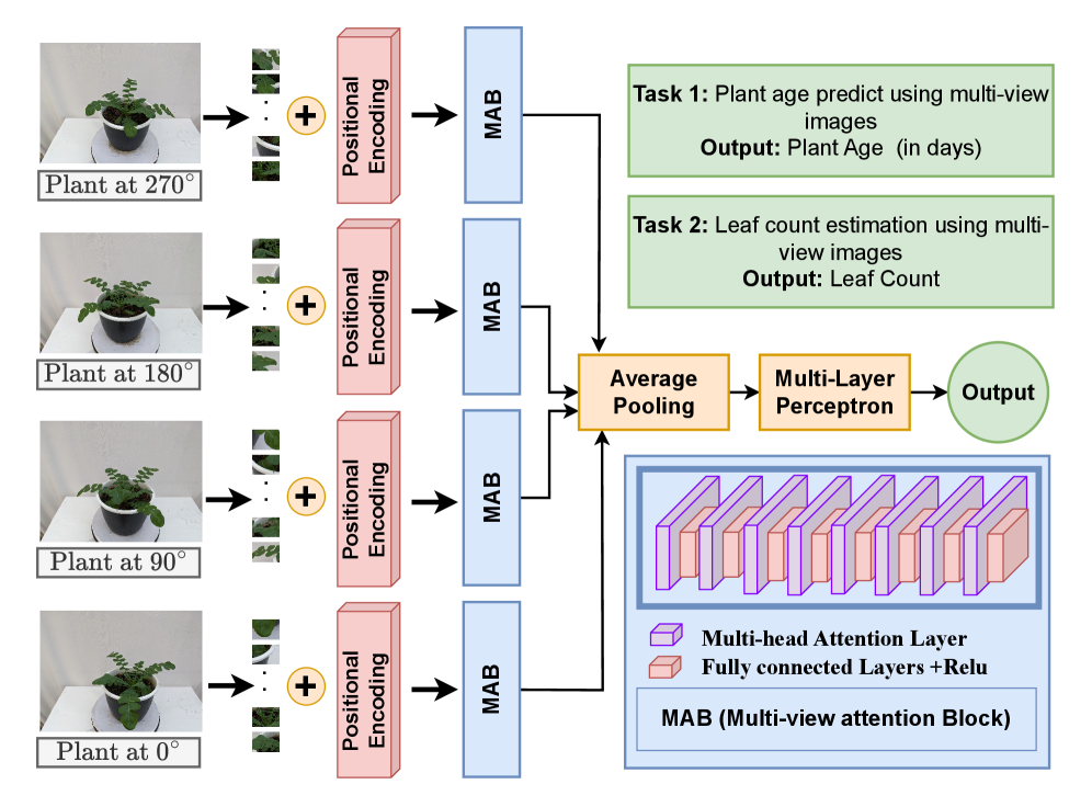 Diagram of the Multi-View Vision Transformer model