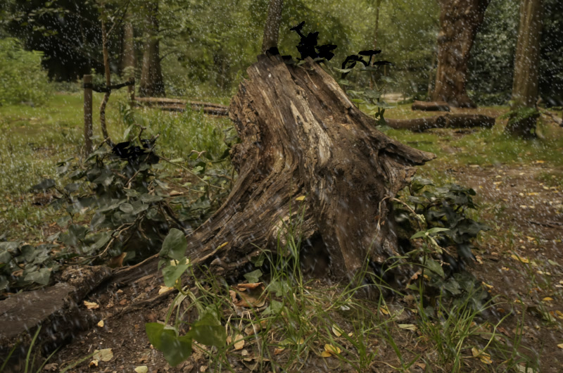 [Uncaptioned image]
