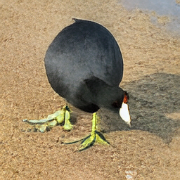 Refer to caption