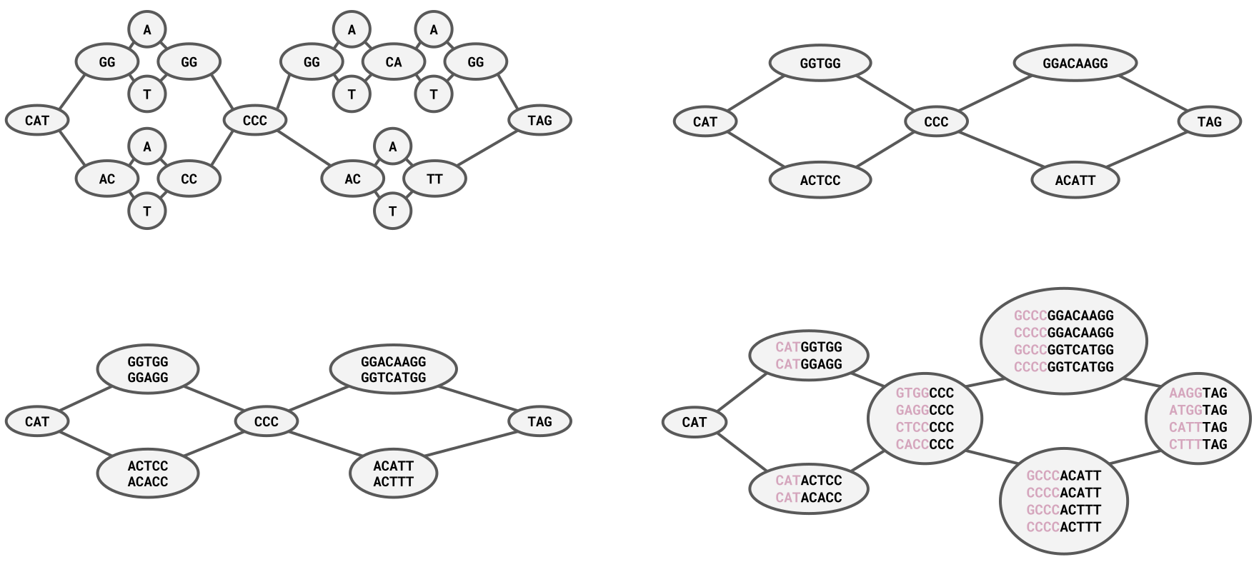 A schematic representation of the kmer2node annotation strategy on a small graph.