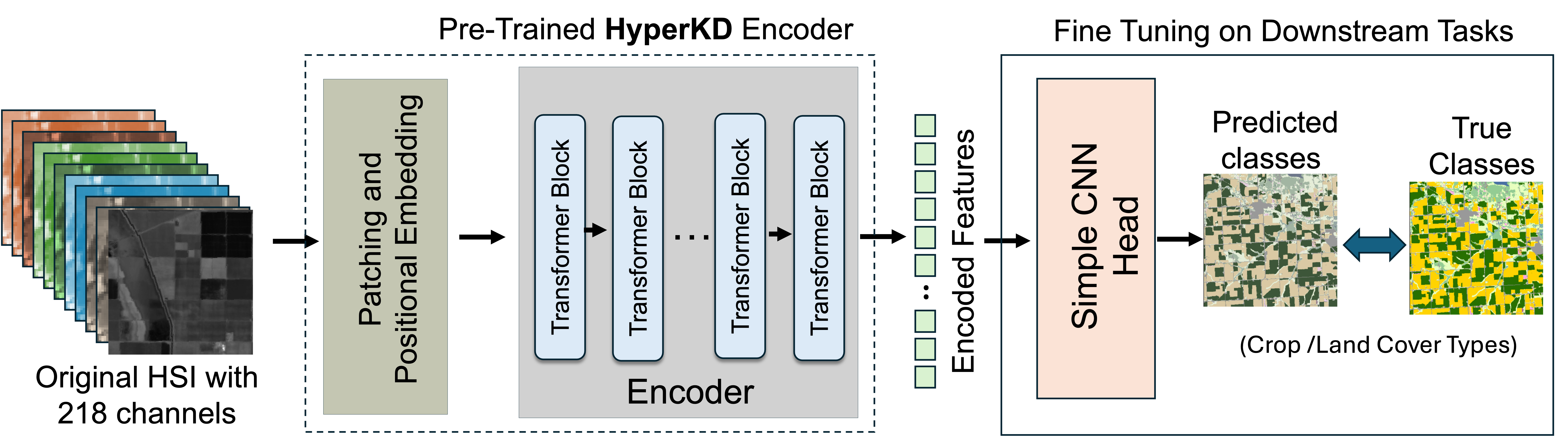 Downstream Model