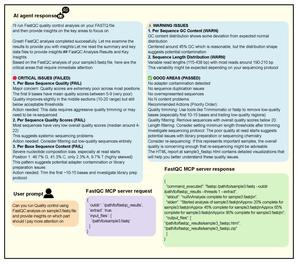 Examples of running an MCP server, which is FastQC, using an AI Agent, here there are a User Prompt, which then intrigue an MCP server request, and then the AI Agent receives a server response, both in a form of JSON files. Afterwards, the AI Agent can then response according to the user prompt.